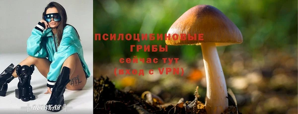 скорость Богданович