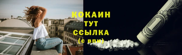 прущая мука Богородицк