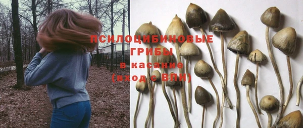 бошки Бабаево