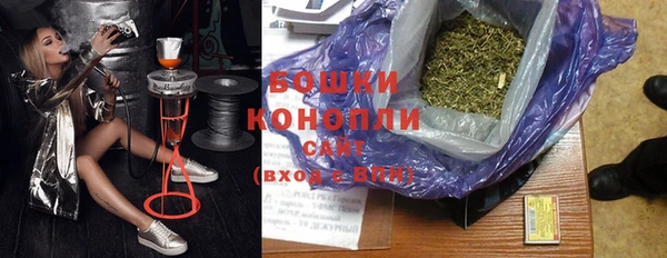 стаф Белокуриха