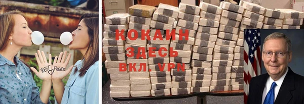 прущая мука Богородицк