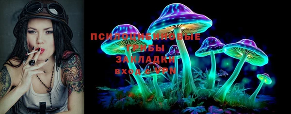 крисы Апатиты